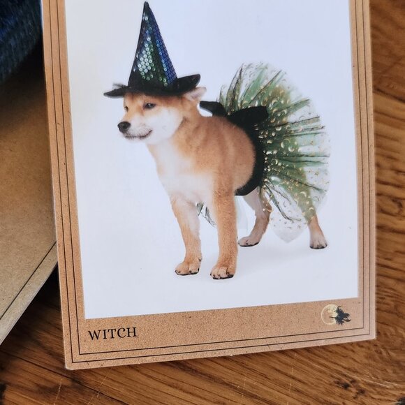 L/LG Dog Sparkly Witch costume - Picture 5 of 5
